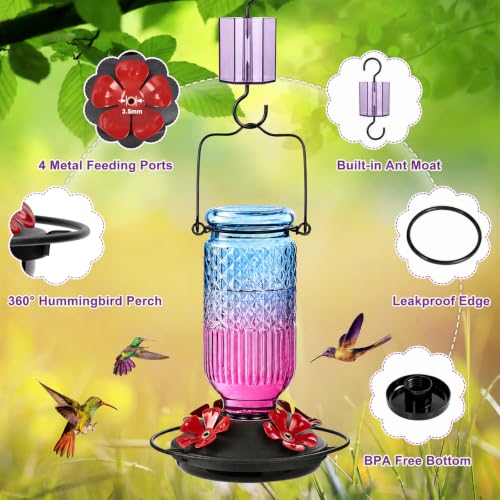 Glass Hummingbird Feeder for Outdoors (Blue-Purple Ombre)