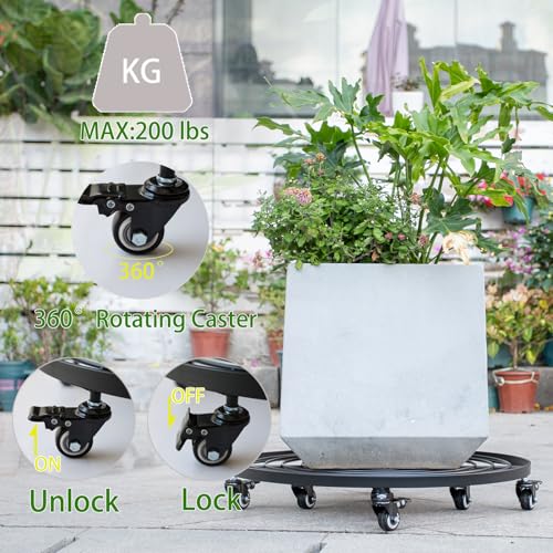 22 Inch Plant Rollers with Wheels (22in)