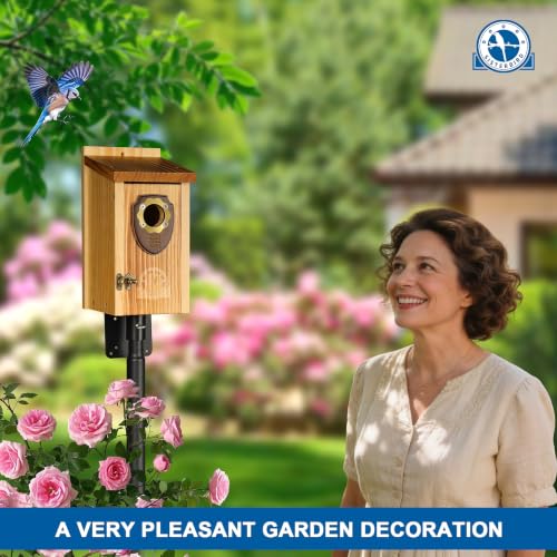 2 Pack Bird House (Medium-roast coffee color -- 2PK)