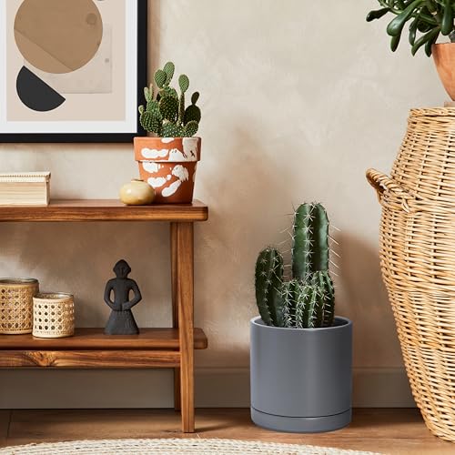 3 Pack Ceramic Pots & Saucers (3 Count)