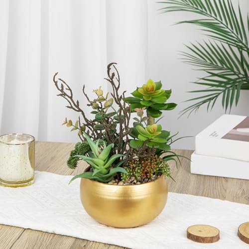 Artificial Succulent Plants in Gold Pot Faux Succulent Arrangement Fake Potted Plants with Pebbles for Home Office Desk Shelf Table Decor (Gold)
