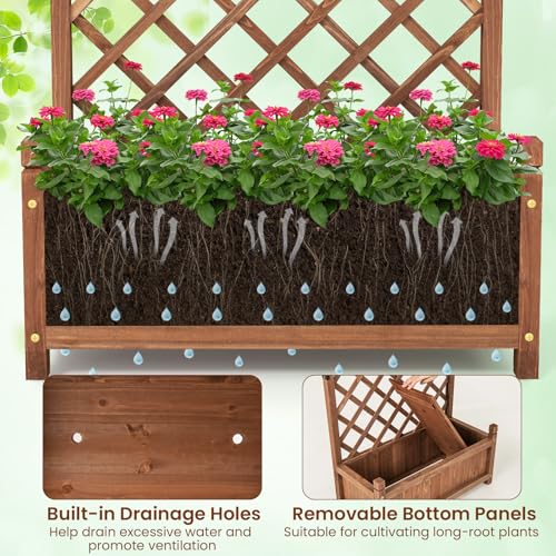 Raised Garden Bed with Trellis Set of 2 (Brown / 28"Lx13"Wx60"H)