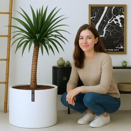 Large Planter for Indoor or Outdoor (Matte White / 18.7 Inch)