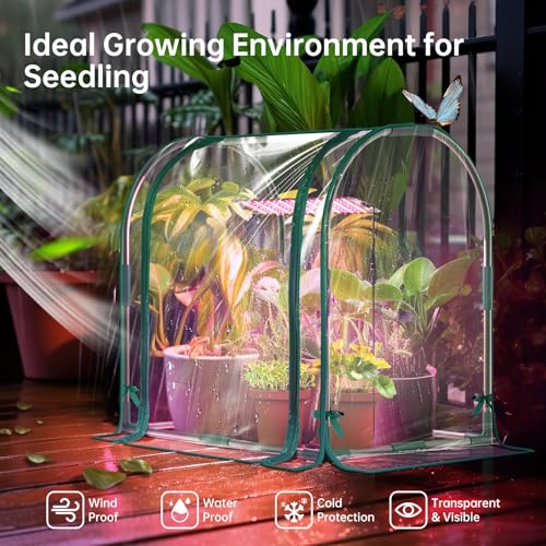 Mini Indoor Greenhouse with Grow Light