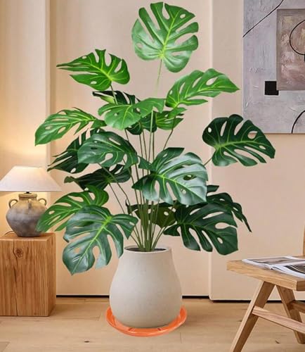 6 Pack of Plant Saucer 10 inch (10in*6 / Red)
