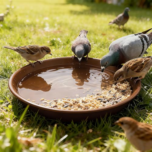 Plant Saucer 12 inch (3 Count)