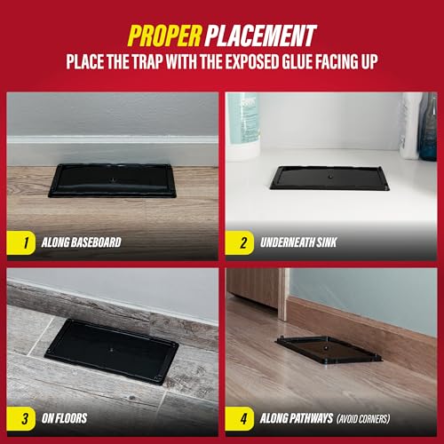 Rat & Mouse Glue Traps 8 Pack (8 Regular)
