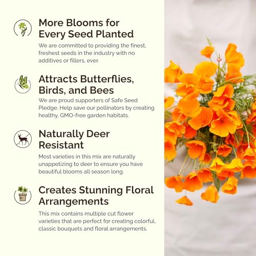 Deer Resistant Wildflower Mixed Seeds for Planting