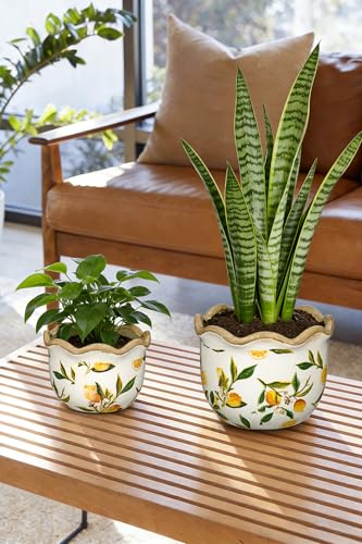 Rustic Farmhouse Ceramic Plant Pots (Yellow & White Lemon Patterns)