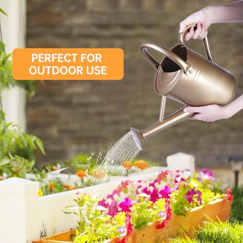 Metal Watering Can for Outdoor Plants (Gold)