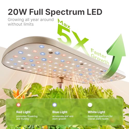 Hydroponics Growing System