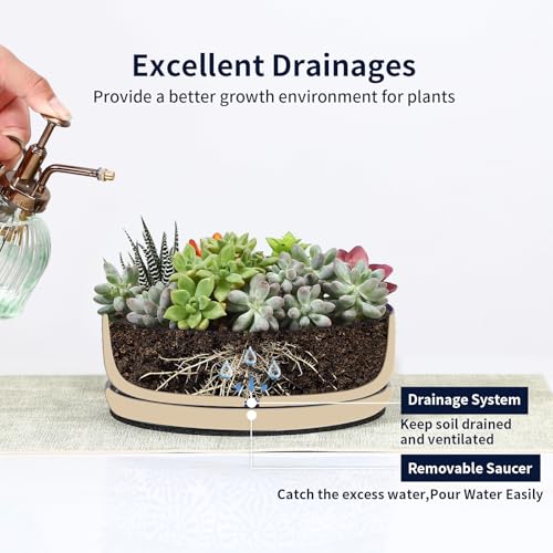 Ceramic Succulent Pots (Vintage Blue / 8 inch)