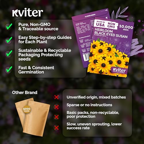 10 000 Black Eyed Susan Heirloom Flower Seeds for Planting