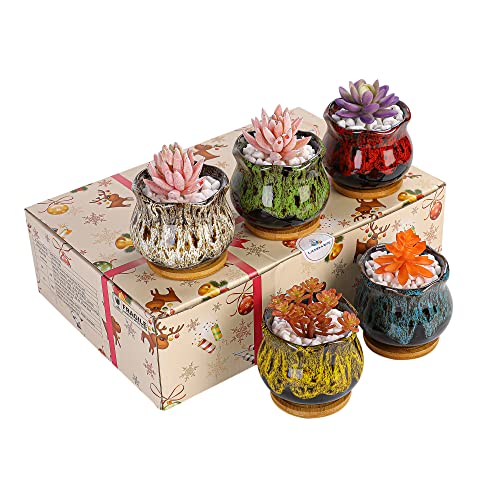 Cute Ceramic Succulent Garden Pots (Fambe)