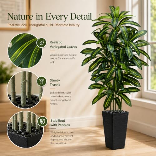Artificial Dracaena Tree (Dark Green – Black Pot / 6FT)