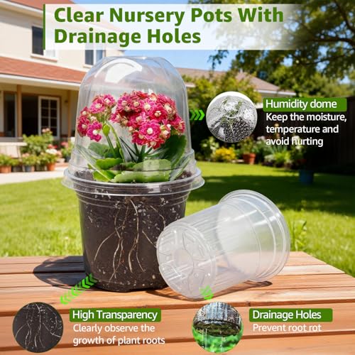 Clear Nursery Pots with Humidity Domes (Transparent / 3.5/4/5 Inch-with Lid)