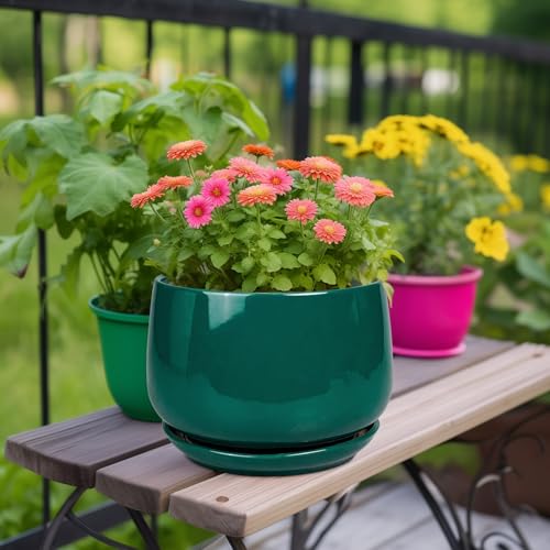 Ceramic Pots for Plants