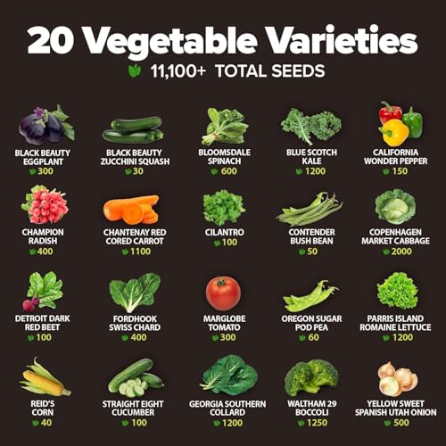 20 Variety Survival Seed Vault