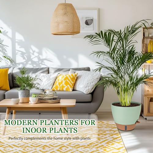 2 Pack 10 inch Plant Pots (2 Count)