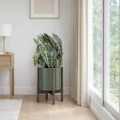 Plastic Pot with Walnut Wood Stand (Olive Pot + Walnut Color Stand / 10 Inch)