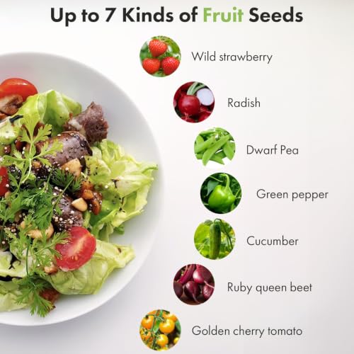 Strawberry Seed Pods kit for AeroGarden (Fruit / 7pods)
