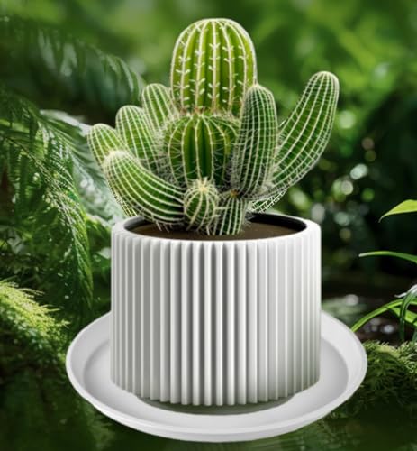 13.5 Inch Plant Saucer (13.5" (4 Pack) / White)