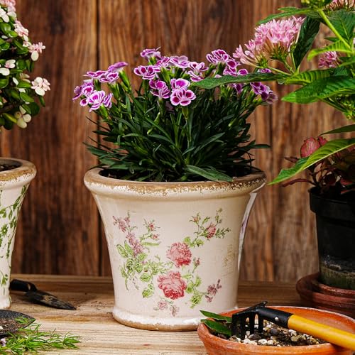 Ceramic Flower Pots (Round - 2pcs - Green & Pink)