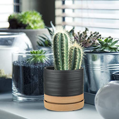 6 Inch Plant Pots