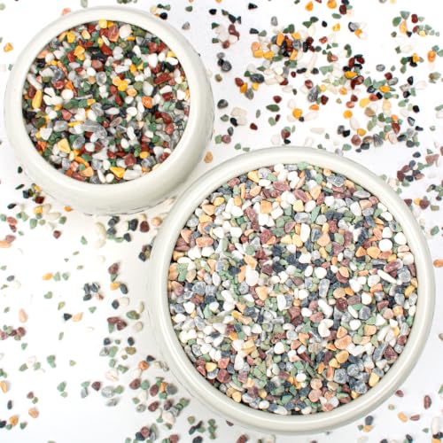 2lbs Natural Gravel Pebbles for Succulents and Cacti (Colorful / 2 Pounds)