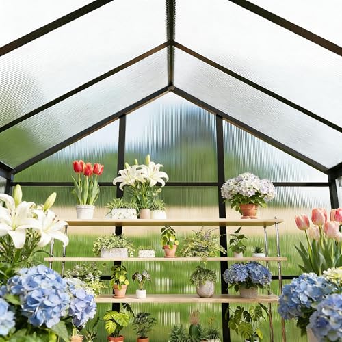 6x8FT Outdoor Greenhouse with Roof Vent (Dark Gray / 6×8FT)