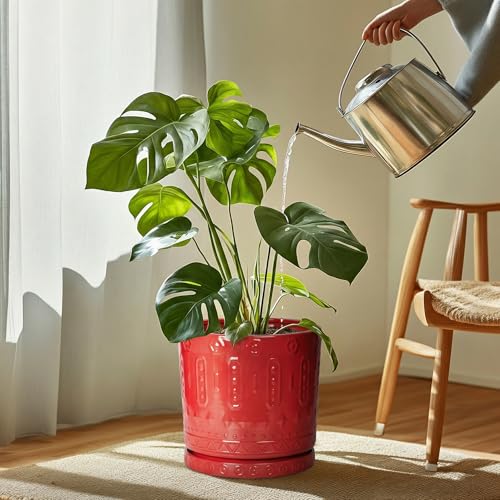 11.4 Inch Plant Saucers for Indoors (11.4 Inch / Red)