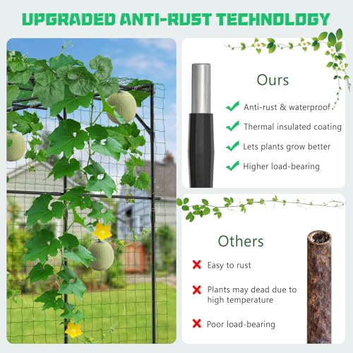 79" H x 79" L Garden Arch Trellis (79" L x 79" W x 79" H)
