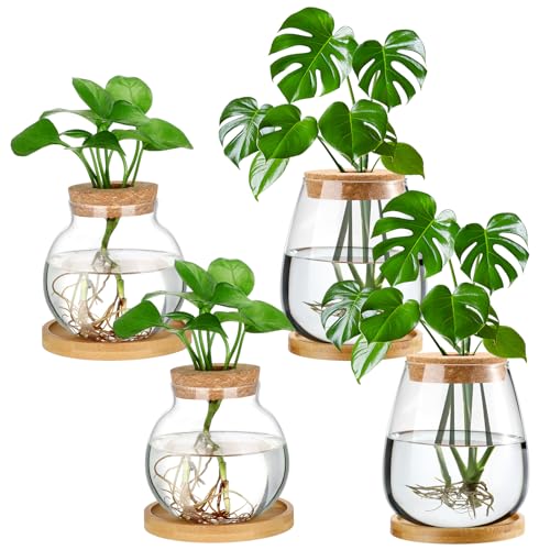 4 Pcs Plants Propagation Stations vases Glass Planters with Wooden Lid and Bamboo Stand for Hydroponic Plants Gardening Gifts for Women Mom Home Office Tabletop Decoration (Lovely Style)