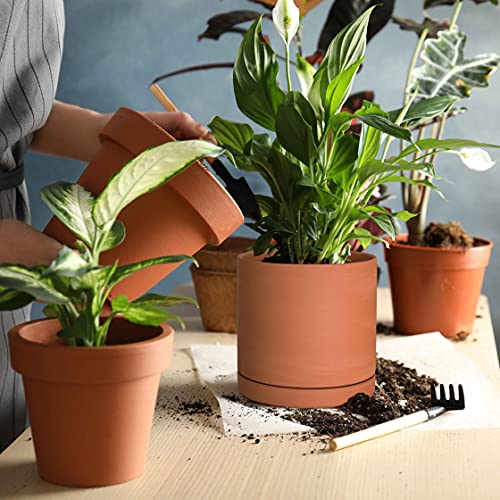 Terracotta Plant Pot with Saucer