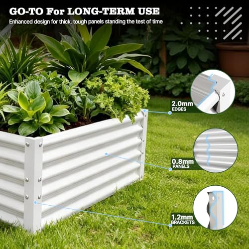Anleolife 12 Bed Rectangle (Set of 12 / Bloom-white)