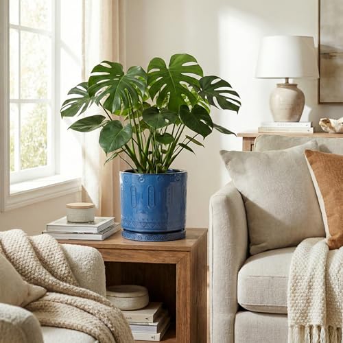 8 Inch Planter (8 Inch / Blue - 2)