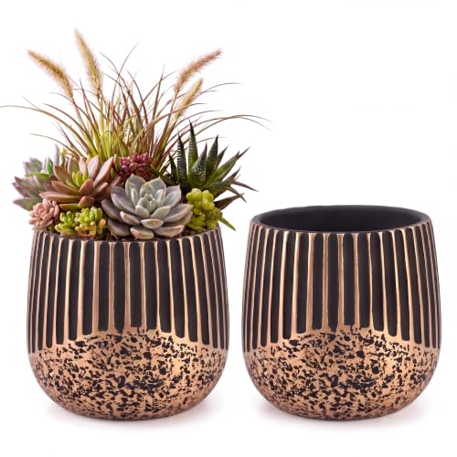 2‑Pack 6 Inch Succulent Planter Pots with Drainage Holes (Black Gold)