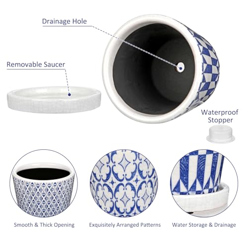 Small Ceramic Pots for Plants (Blue & White)