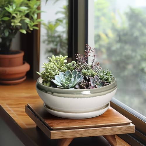 Bonsai Tree Pots (8 Inch / Grey-white)