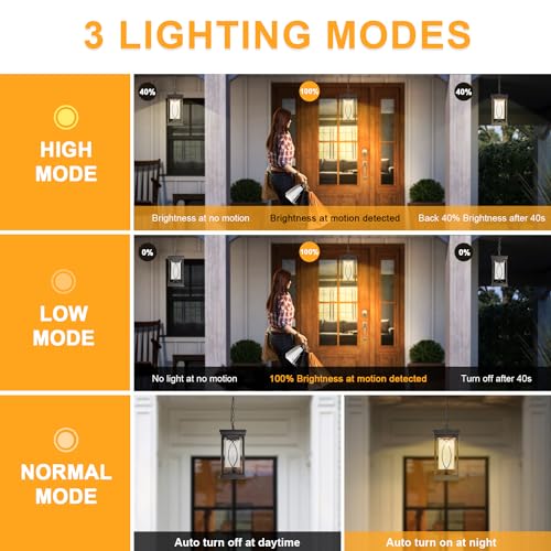 Motion Outdoor Pendant Light Fixtures Dusk to Dawn Exterior Ceiling Hanging Lantern for Porch (Black-L-PL)