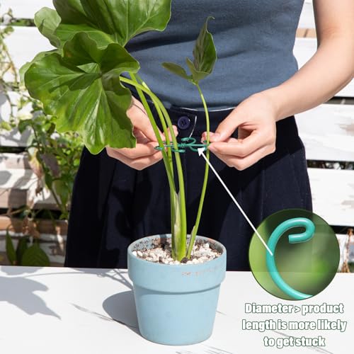 5PCS 2.75IN Monstera Plant Stem Support (Green / 2.75IN*2.75IN)
