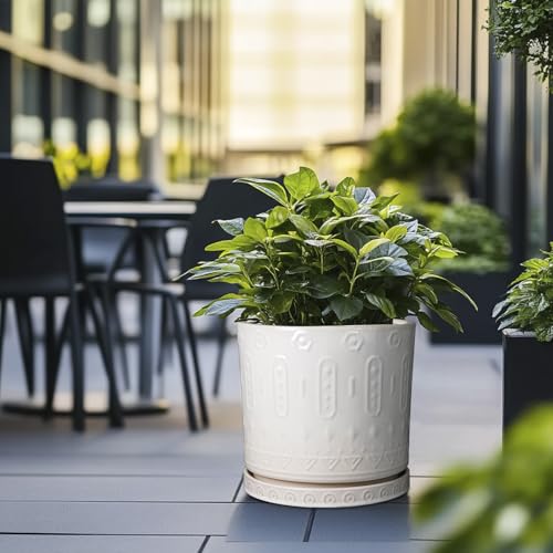 Ceramic Pots for Plants 12 Inch