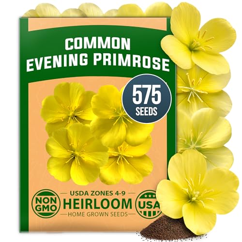 Evening Primrose Seeds