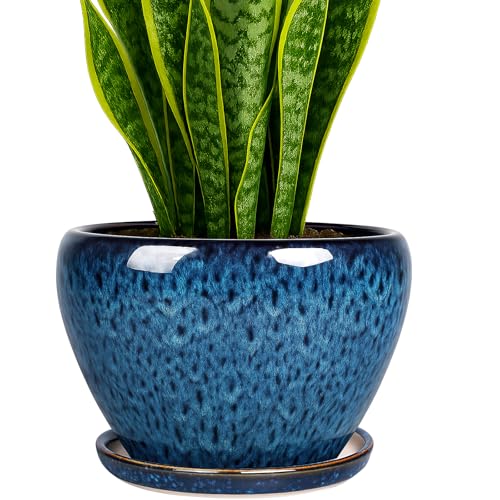 8 Inch Plant Pots