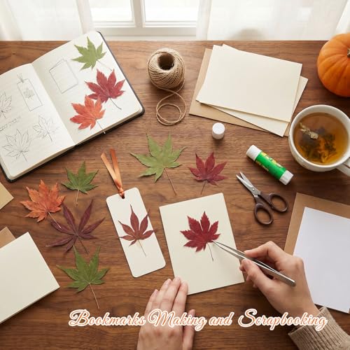 48 Pcs Dried Pressed Fall Maple Leaf for Cake Decorating (Maple Leaf)