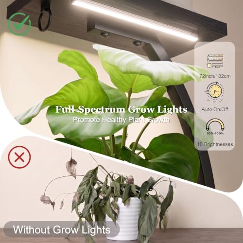 Plant Stand with Grow Light (Black + Black)