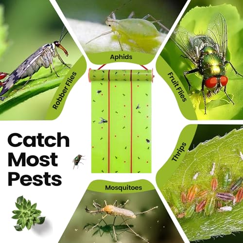 1 Pcs Giant Flypaper Fly Traps (Fluorescent Green)