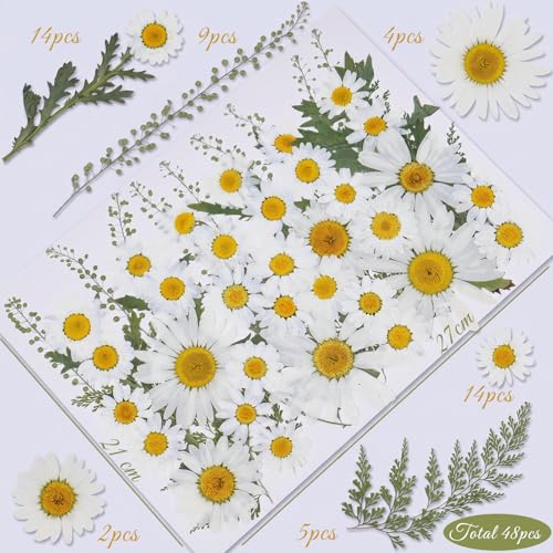 48 Pcs Natural Dried Pressed Daisy Flowers for Cake Decorating (Daisy)