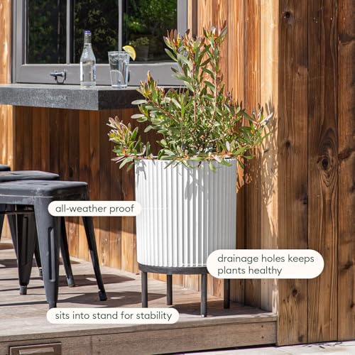 Demi Series Raised Planter (2 Count)