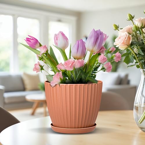 Terracotta 6 Inch Plant Pots with Drainage & Saucers 12 Pack (Terracotta / Pack of 12)